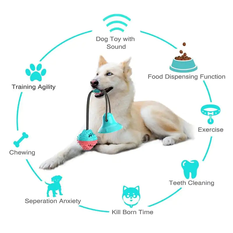 Dog Toy Silicone Suction Cup