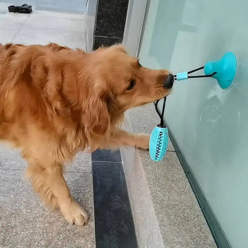 Dog Toy Silicone Suction Cup